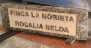 galeria6